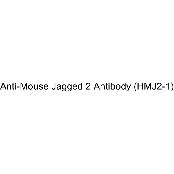 Anti-Mouse Jagged 2 Antibody (HMJ2-1)