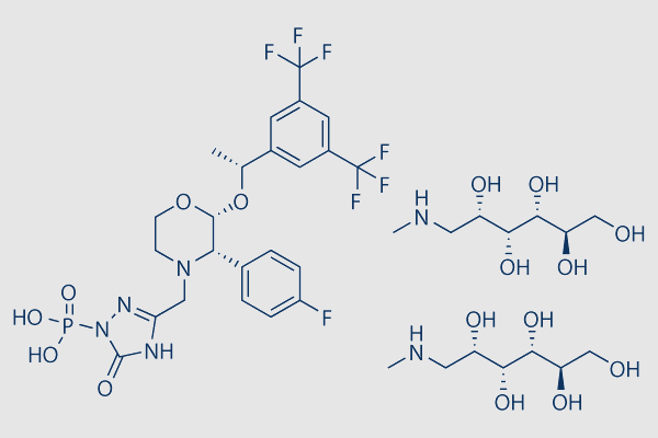 Fosaprepitant dimeglumine salt