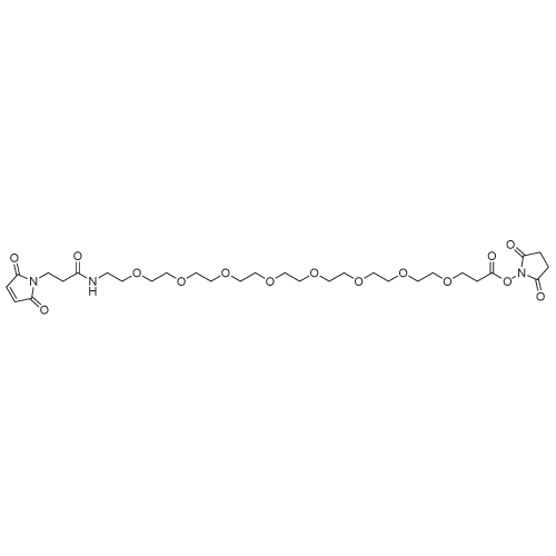 Maleimide-PEG8-succinimidyl ester
