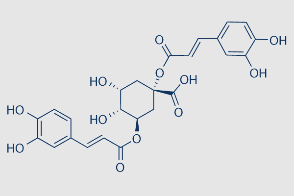 1,3-Dicaffeoylquinic acid