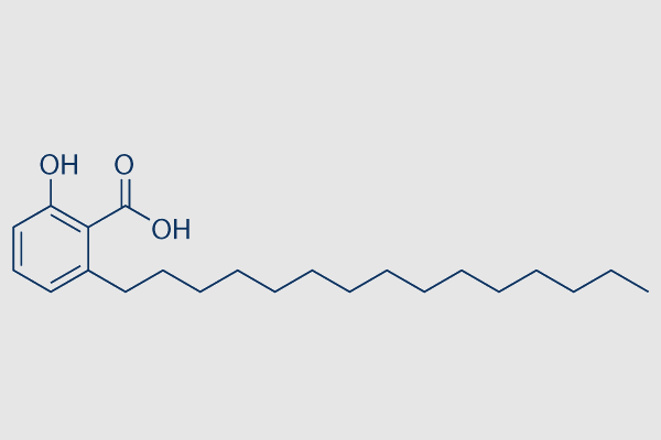 Anacardic Acid