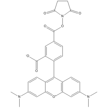 5-TAMRA-SE