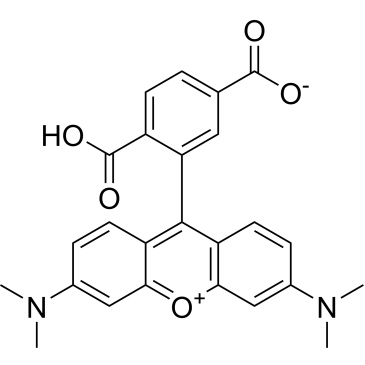 6-TAMRA