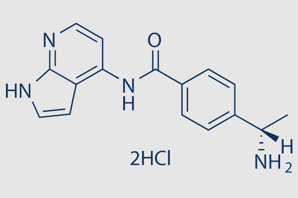 Y-39983 HCl