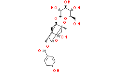 Oxypaeoniflorin