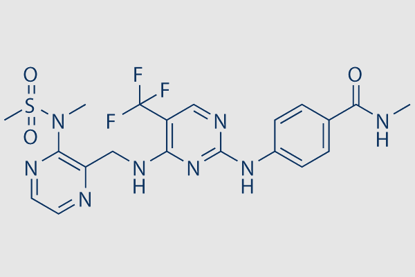 Defactinib (VS-6063)