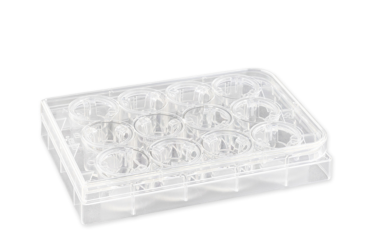 Corning® 12 mm Transwell® with 3.0 µm Pore Polycarbonate Membrane Insert, Sterile