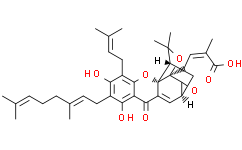 Gambogenic acid