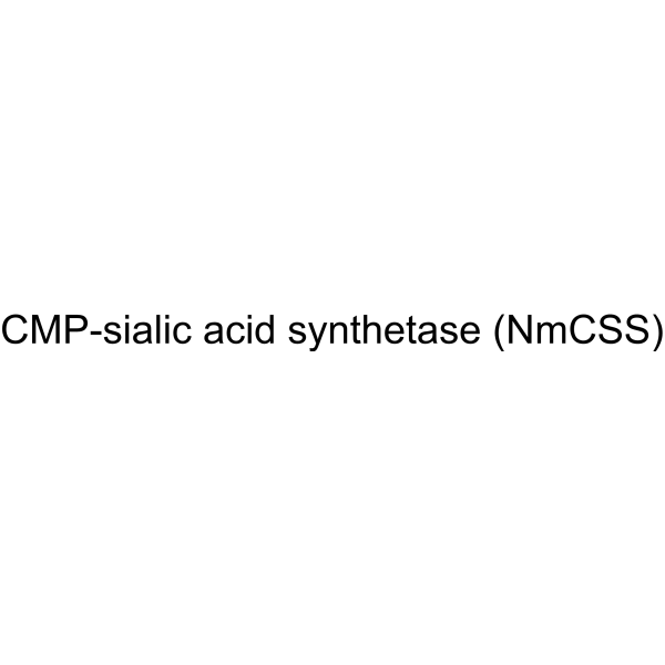 CMP-sialic acid synthetase (NmCSS)