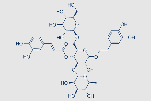 Echinacoside