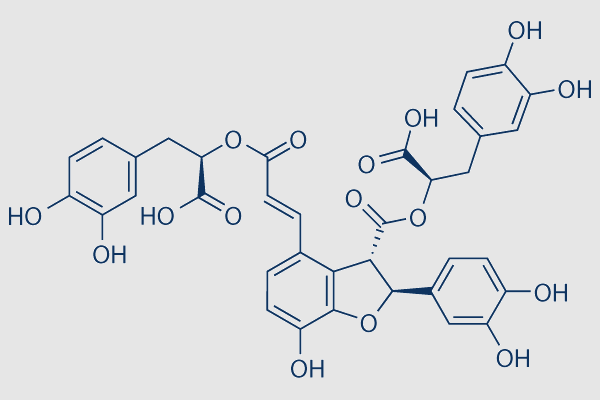 Salvianolic acid B