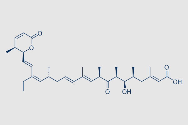 Leptomycin B