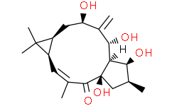 7β-Hydroxylathyrol