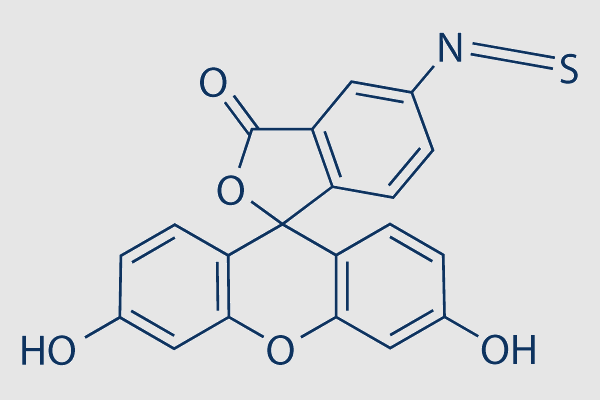 Fluorescein-5-isothiocyanate (FITC)