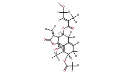 Eupalinolide H