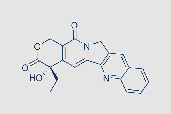 Camptothecin (NSC-100880)