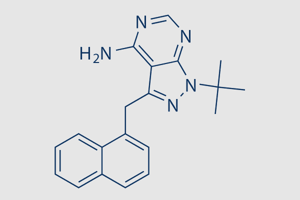 1-NM-PP1