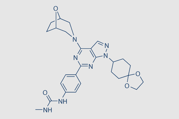 WYE-125132 (WYE-132)