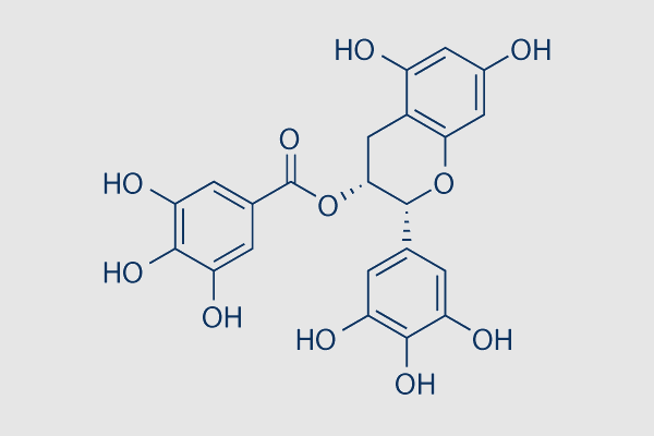 (-)-Epigallocatechin Gallate