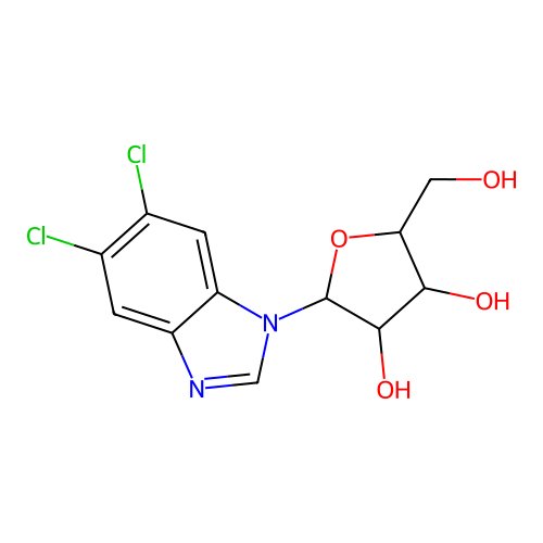 5,6-Dichlorobenzimidazole 1-beta-D-ribofuranoside