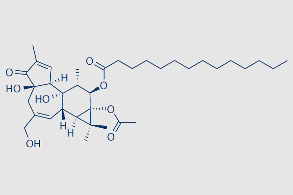 Phorbol 12-myristate 13-acetate (PMA)