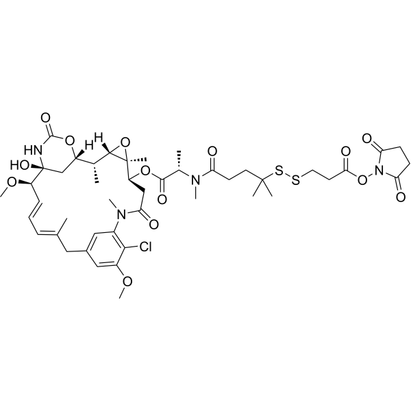 DM4-SPDP