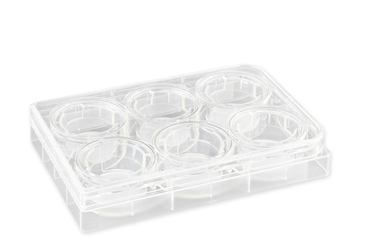 Corning® 24 mm Transwell® with 0.4 µm Pore Polycarbonate Membrane Insert, Sterile