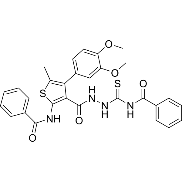 SIC-19