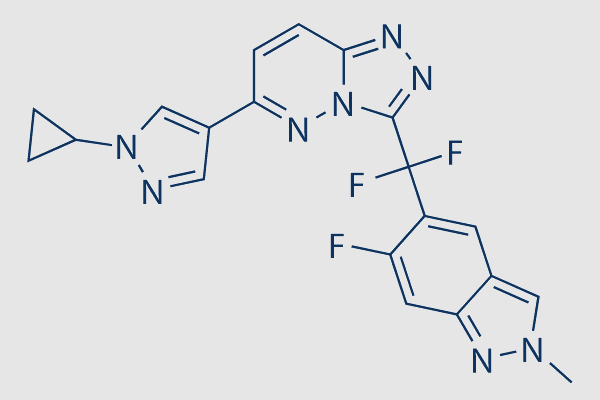 Bozitinib (PLB-1001)