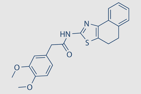 ZINC00881524 (ROCK inhibitor)