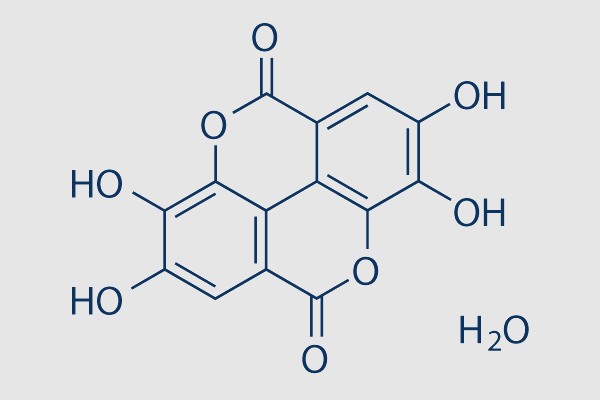 Ellagic Acid hydrate