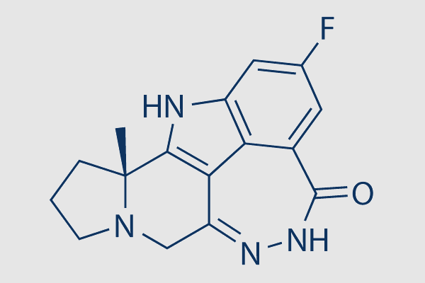 Pamiparib (BGB-290)