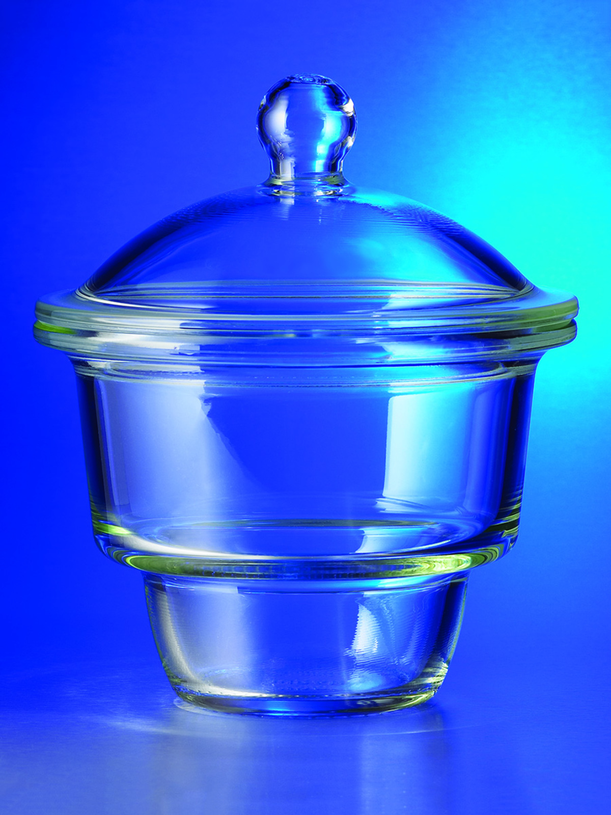 PYREX® Replacement Bowl for 10.5L Large Knob Top Desiccator