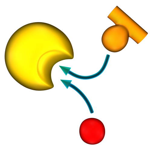 Small Molecule Inhibitors