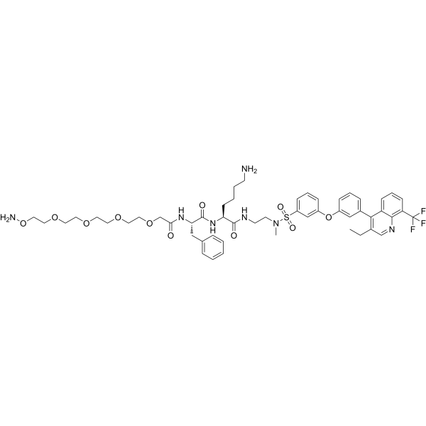 Aminooxy CatB-LXR