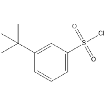 3-(tert-Butyl)benzene-1-sulfonyl chloride
