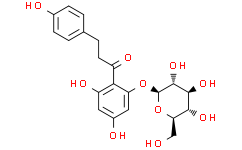 Phlorizin