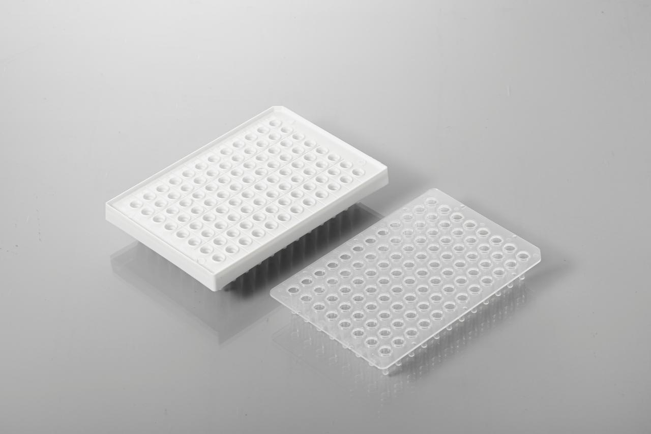 PCR 96 Well Plate