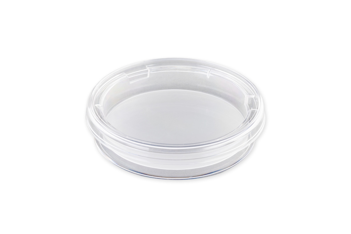Corning® 75 mm Transwell® with 3.0 µm Pore Polycarbonate Membrane Insert, Sterile