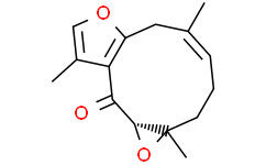 Zederone