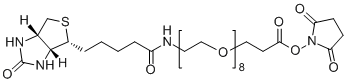 Biotin-PEG8-SPA