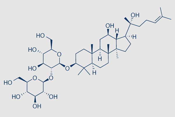 (20R)Ginsenoside Rg3