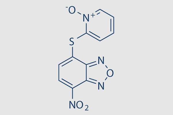 NSC228155