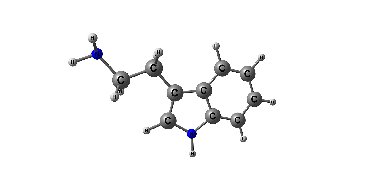 Indoles. Indole Derivatives. Indolic compounds.