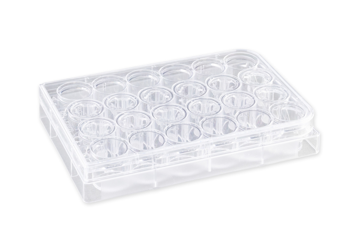 Corning® 6.5 mm Transwell® with 5.0 µm Pore Polycarbonate Membrane Insert, Sterile