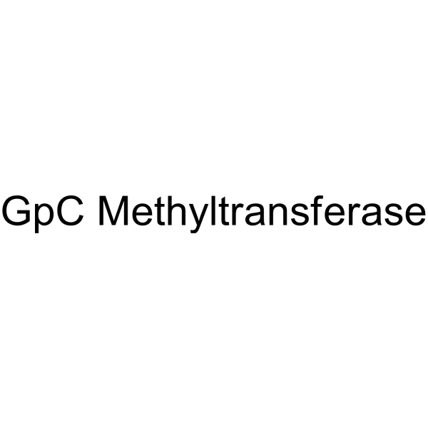 GpC Methyltransferase