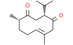 Neocurdione