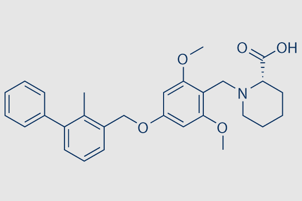 BMS-1 (PD-1/PD-L1 inhibitor 1)