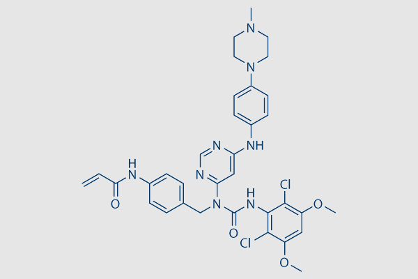 FIIN-3