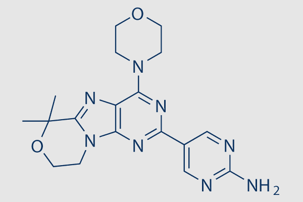 Paxalisib (GDC-0084)